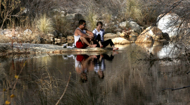 Photos: Snow melt brings life to Sabino Creek